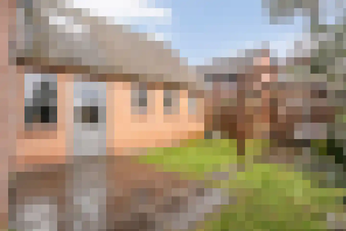 Julianastraat 17 Nijeveen thumbnail 37