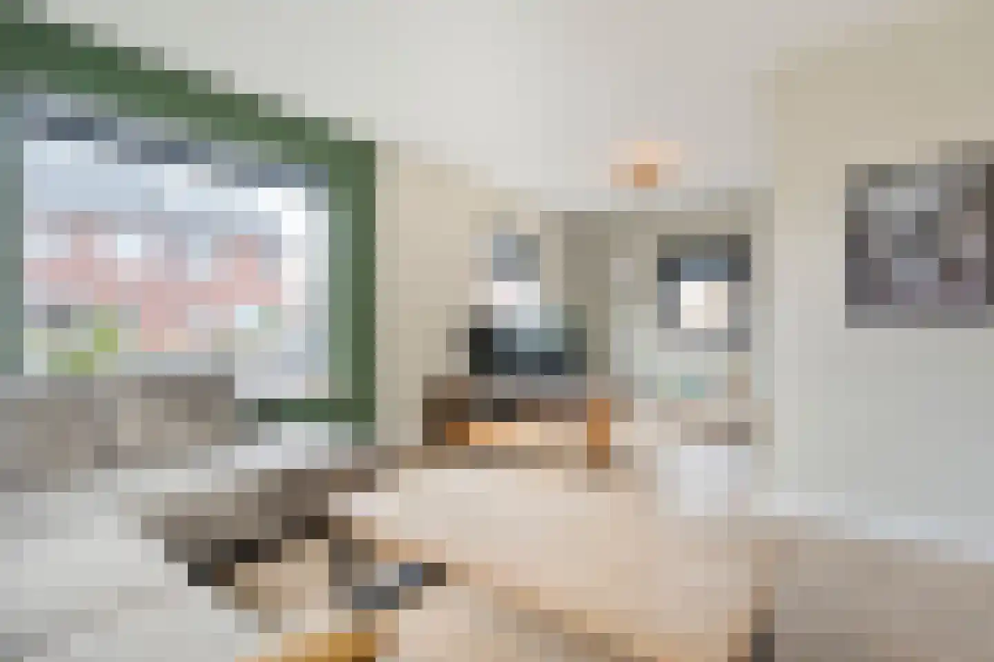 Julianastraat 17 Nijeveen thumbnail 5