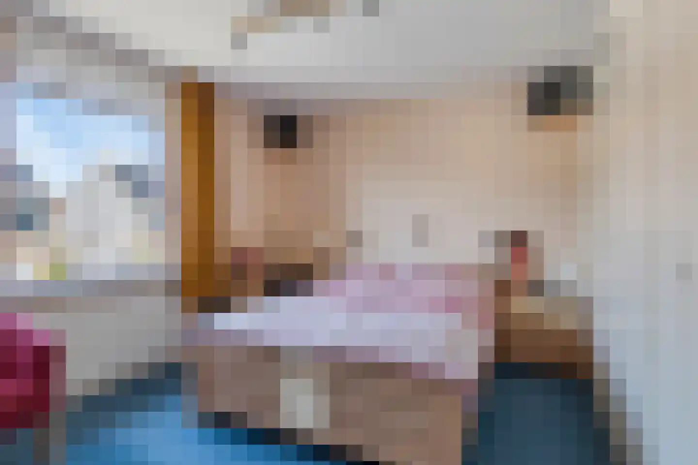 Julianastraat 17 Oudenhoorn thumbnail 23