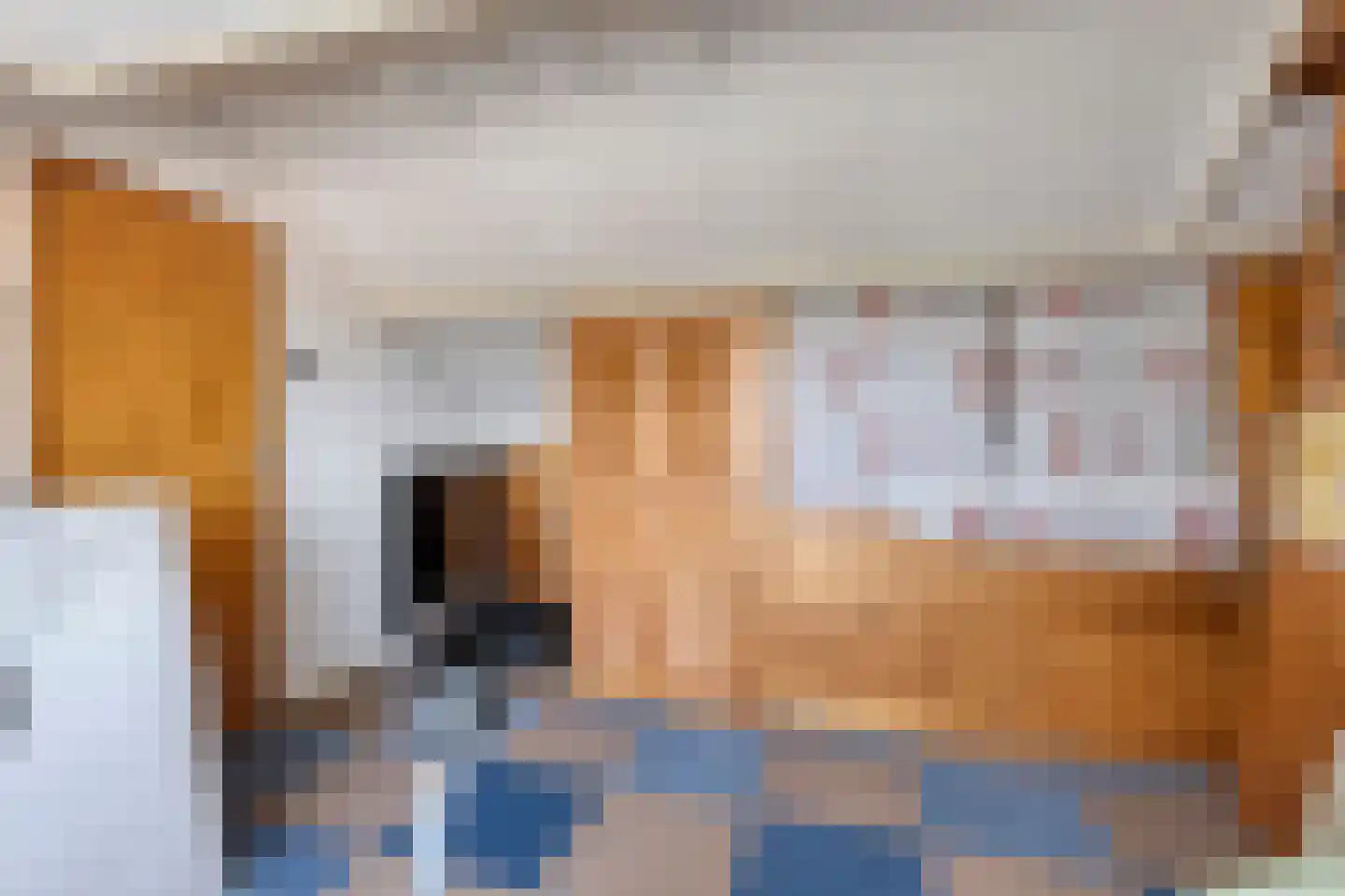 Julianastraat 17 Oudenhoorn thumbnail 31