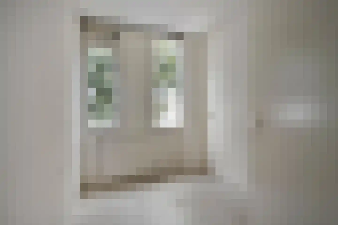 Julianastraat 17 Uden thumbnail 14