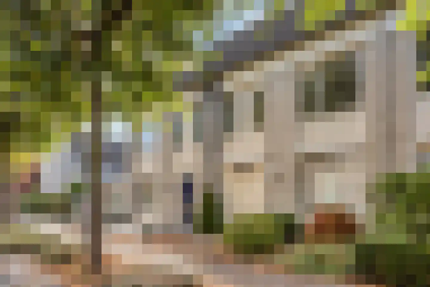 Julianastraat 17 Uden thumbnail 4