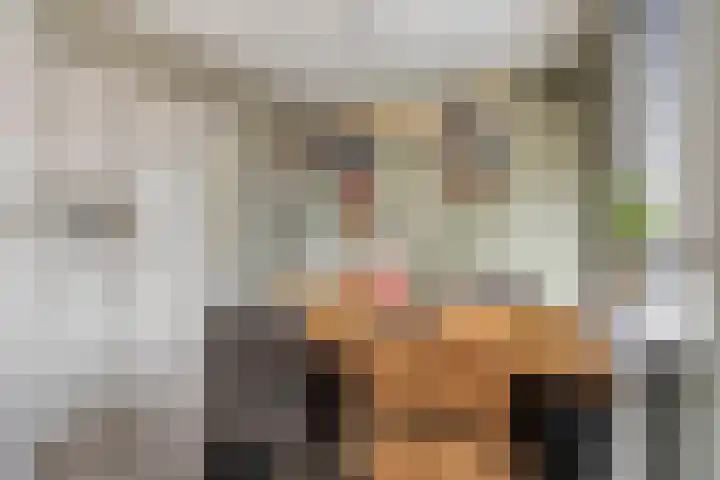 Julianastraat 17 Zuidland thumbnail 10