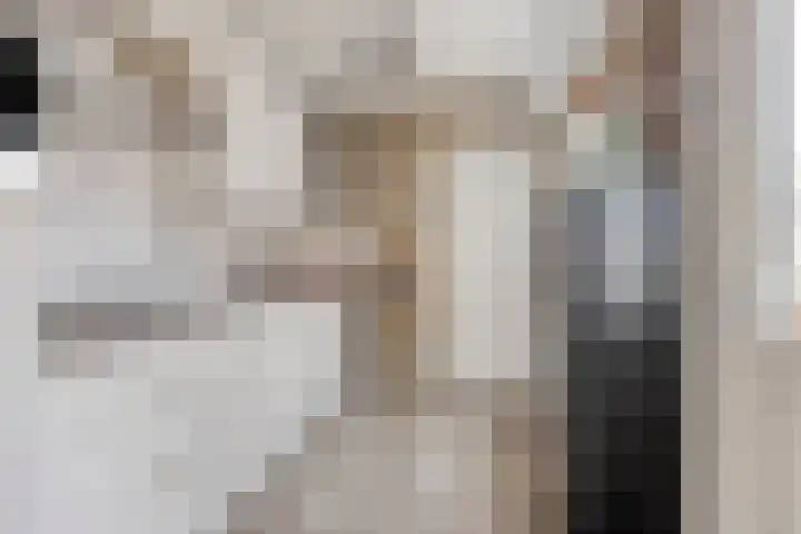 Julianastraat 17 Zuidland thumbnail 13