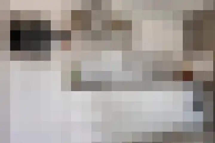 Julianastraat 17 Zuidland thumbnail 14