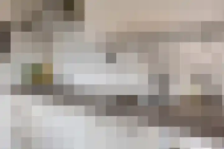Julianastraat 17 Zuidland thumbnail 15
