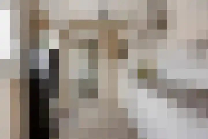 Julianastraat 17 Zuidland thumbnail 16