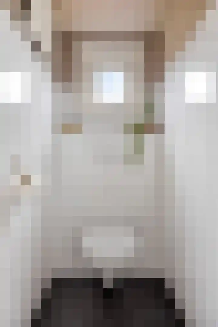 Julianastraat 17 Zuidland thumbnail 17