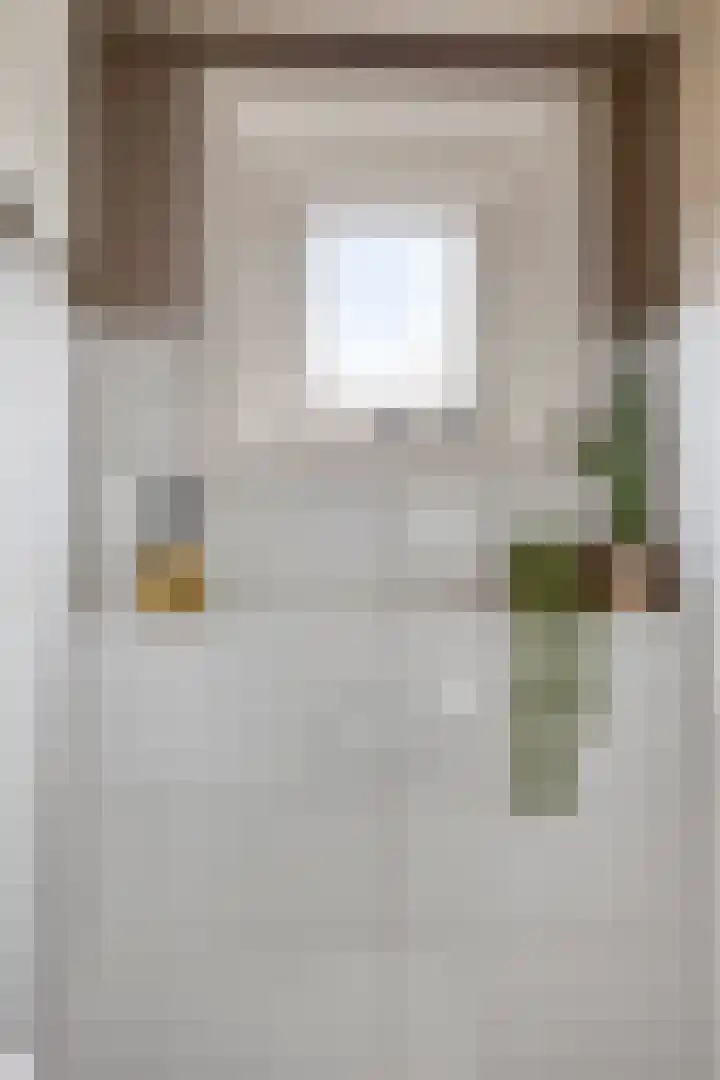 Julianastraat 17 Zuidland thumbnail 18
