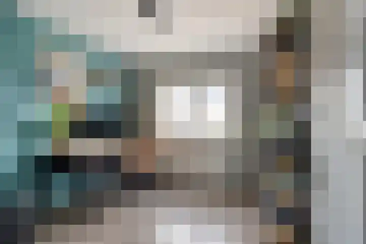Julianastraat 17 Zuidland thumbnail 25