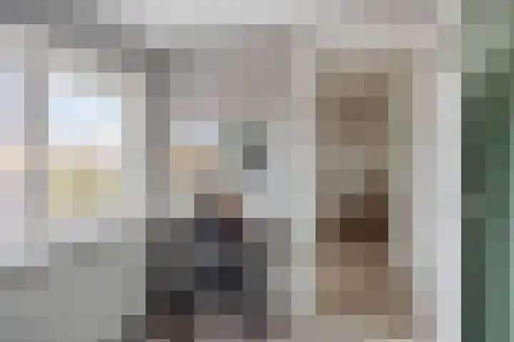 Julianastraat 17 Zuidland thumbnail 27