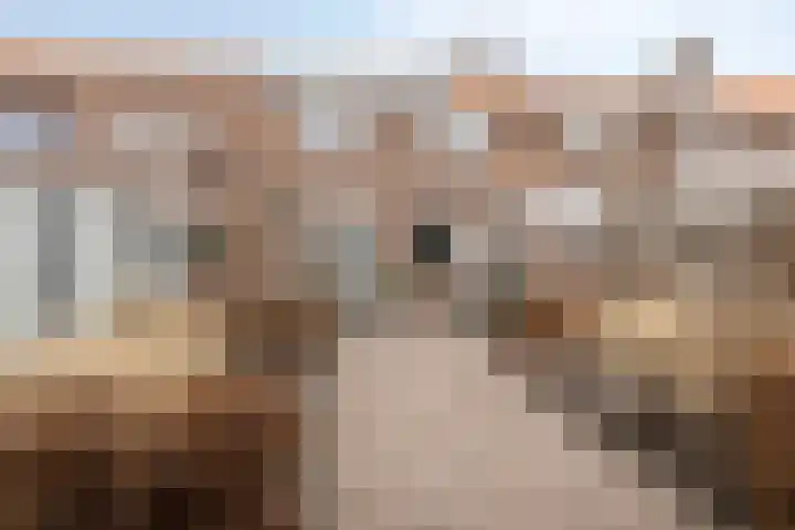 Julianastraat 17 Zuidland thumbnail 34