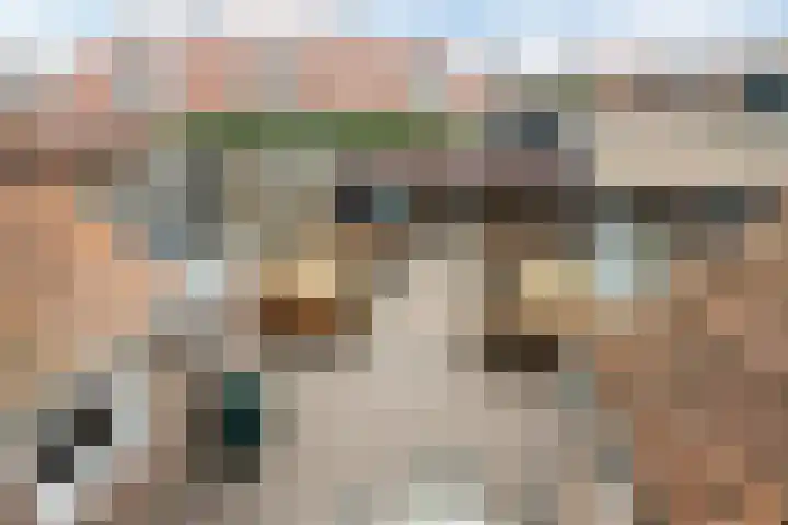 Julianastraat 17 Zuidland thumbnail 36