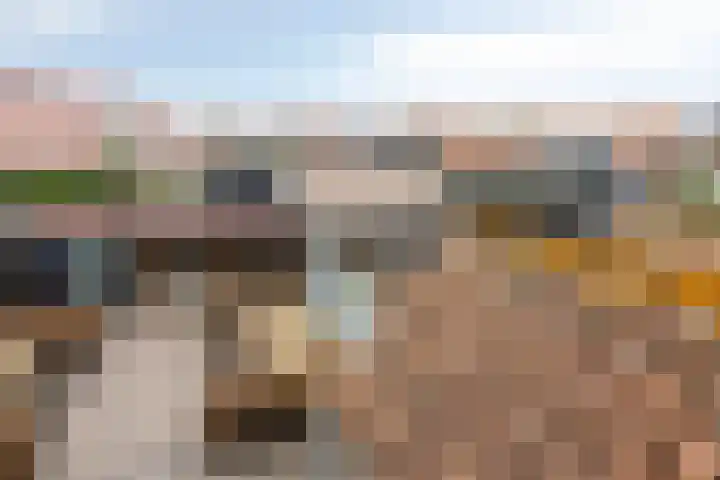 Julianastraat 17 Zuidland thumbnail 37