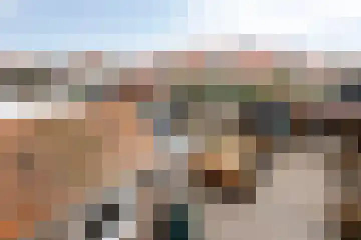Julianastraat 17 Zuidland thumbnail 38