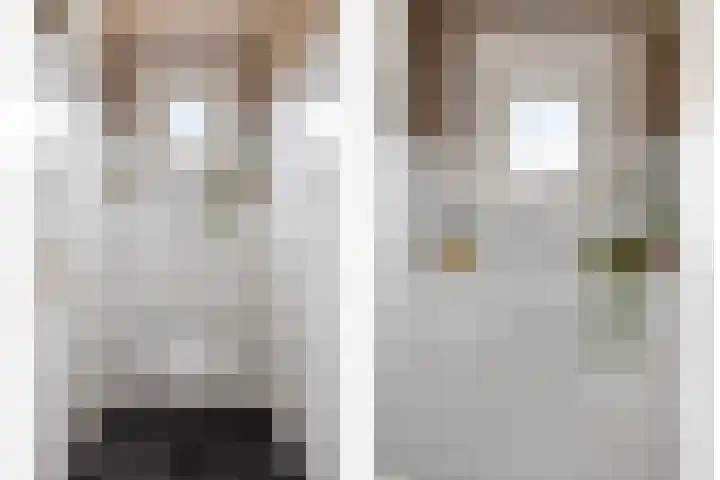 Julianastraat 17 Zuidland thumbnail 41