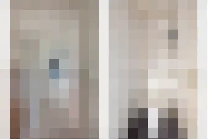 Julianastraat 17 Zuidland thumbnail 42