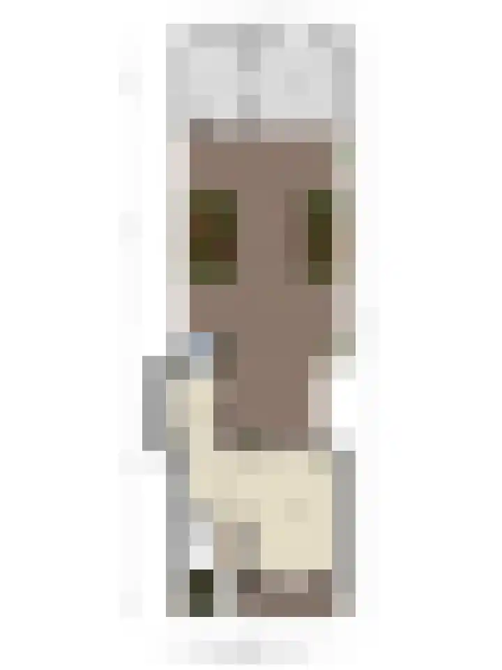 Julianastraat 17 Zuidland thumbnail 43