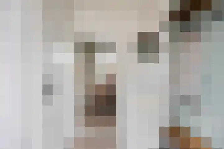 Julianastraat 17 Zuidland thumbnail 5