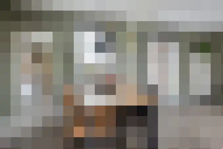 Julianastraat 17 Zuidland thumbnail 7