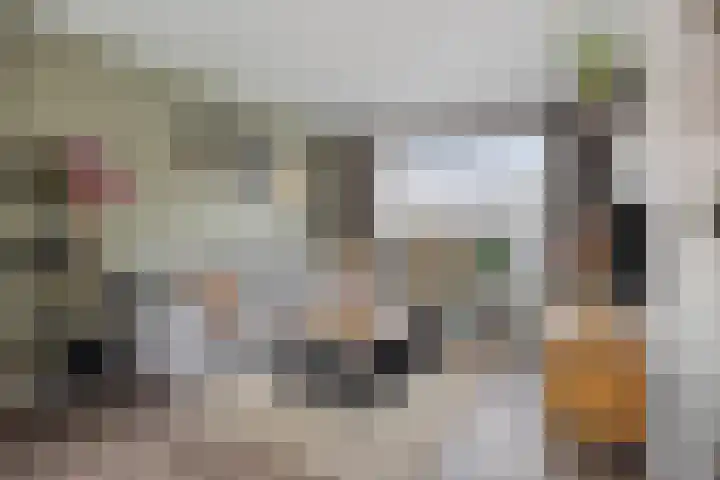 Julianastraat 17 Zuidland thumbnail 8