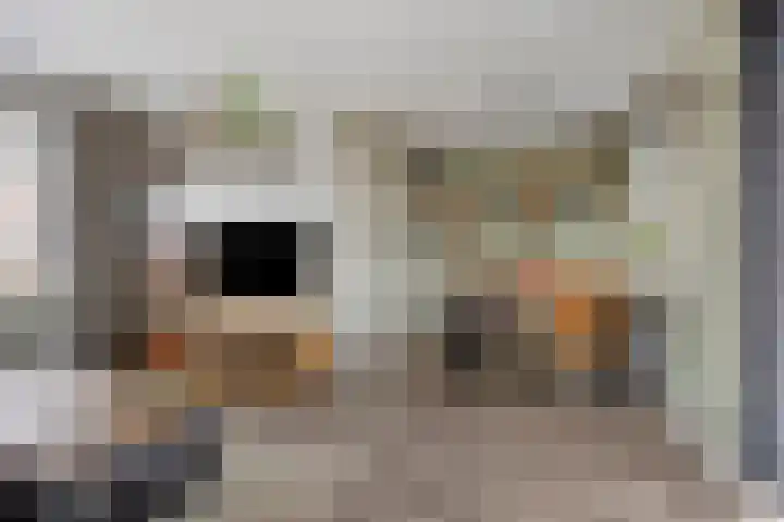 Julianastraat 17 Zuidland thumbnail 9