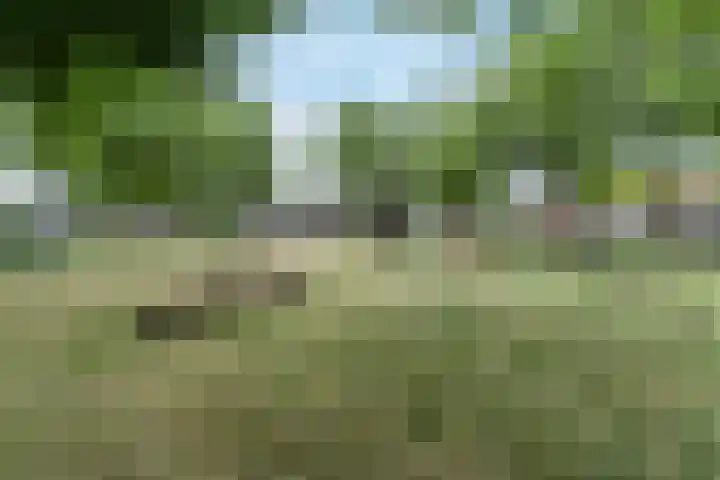 Julianastraat 18 A Diessen thumbnail 37