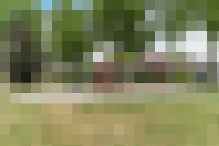 Julianastraat 18 A Diessen thumbnail 38