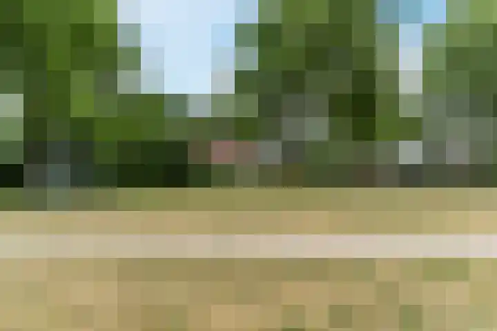 Julianastraat 18 A Diessen thumbnail 39