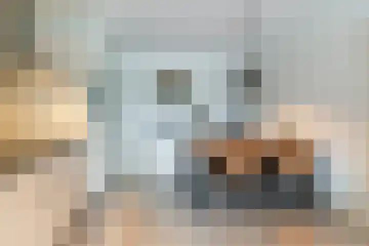 Julianastraat 18 A Diessen thumbnail 8