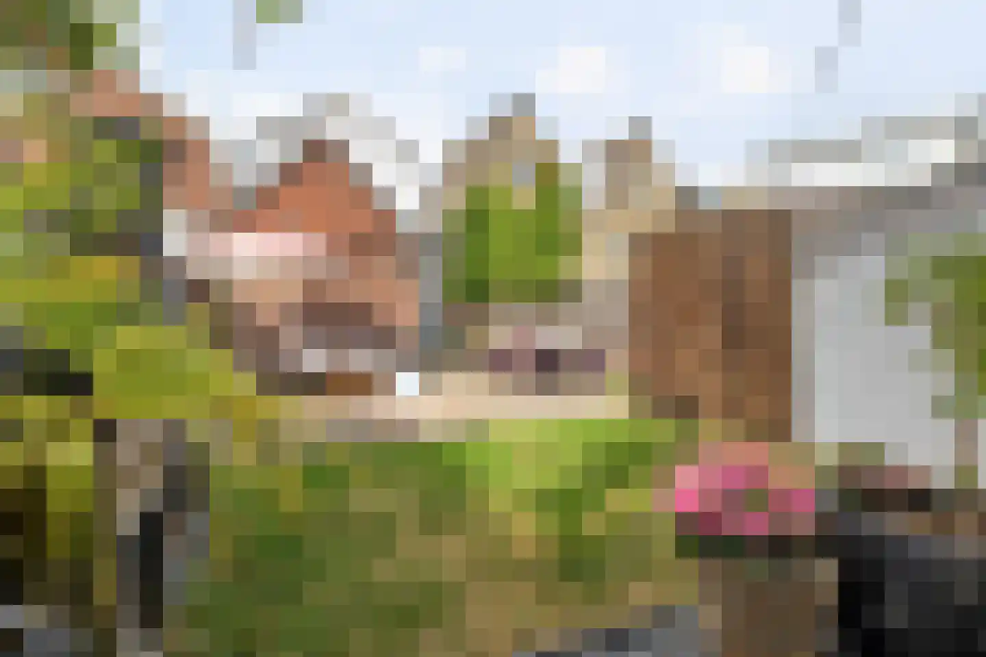 Julianastraat 18 Boxtel thumbnail 48