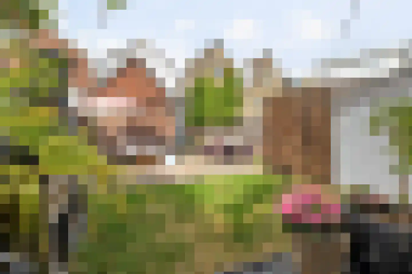 Julianastraat 18 Boxtel thumbnail 9