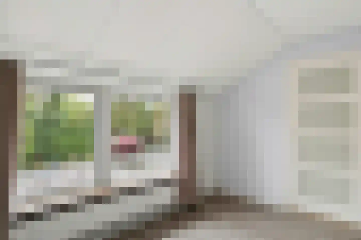 Julianastraat 18 Groenlo thumbnail 19