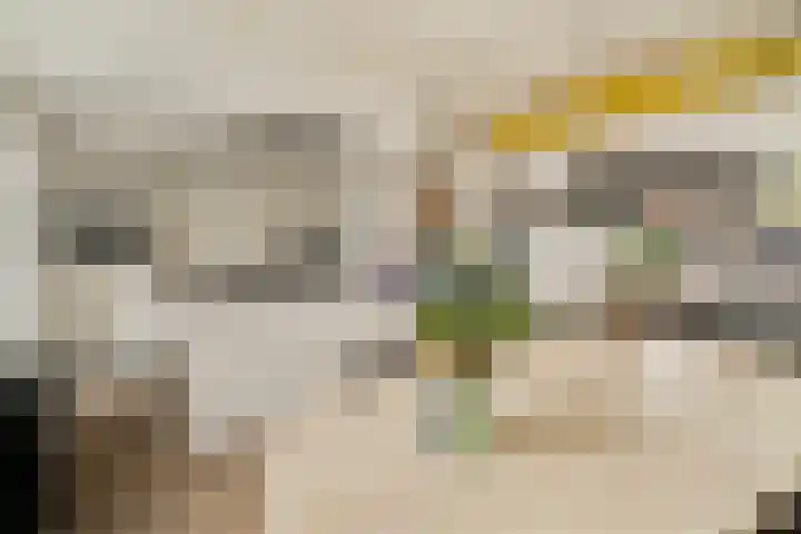 Julianastraat 18 Noordwijk thumbnail 10