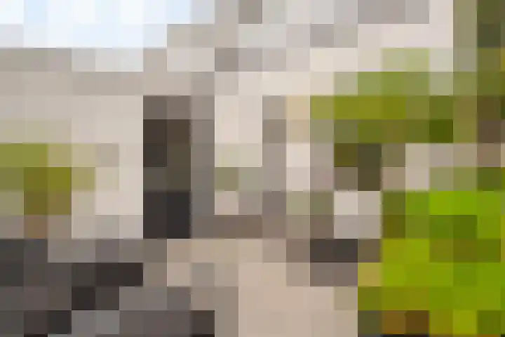 Julianastraat 18 Noordwijk thumbnail 13