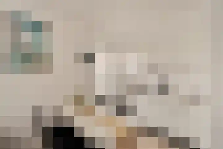 Julianastraat 18 Noordwijk thumbnail 28