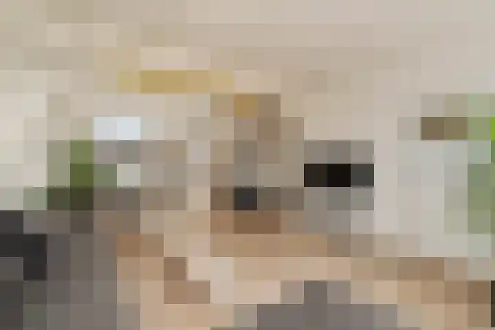 Julianastraat 18 Noordwijk thumbnail 5