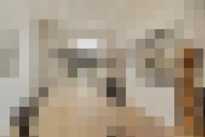 Julianastraat 18 Noordwijk thumbnail 7