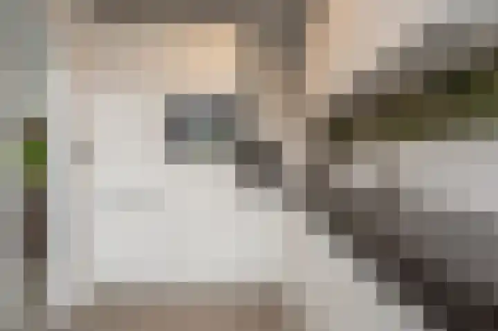 Julianastraat 18 Numansdorp thumbnail 10