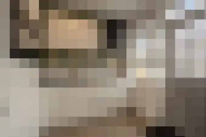 Julianastraat 18 Numansdorp thumbnail 11
