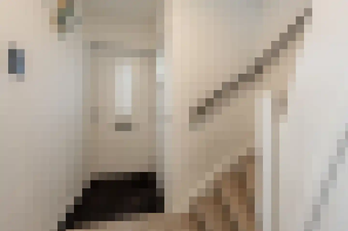 Julianastraat 18 Numansdorp thumbnail 12