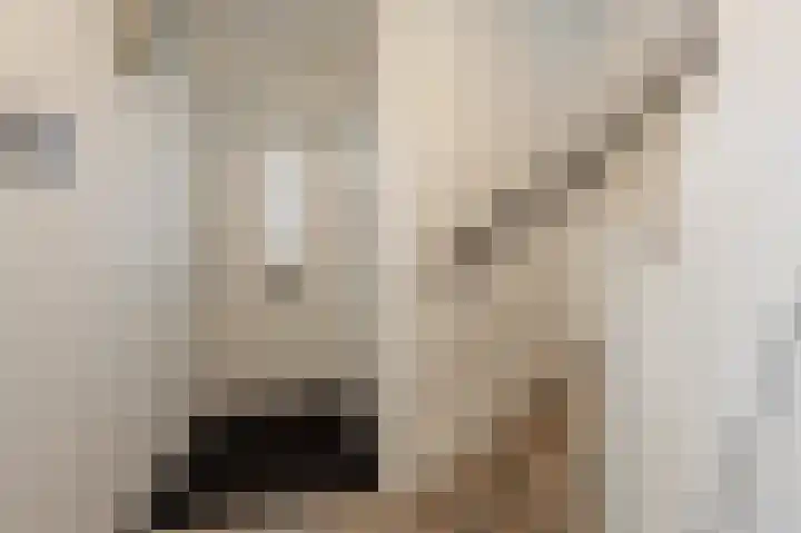Julianastraat 18 Numansdorp thumbnail 12