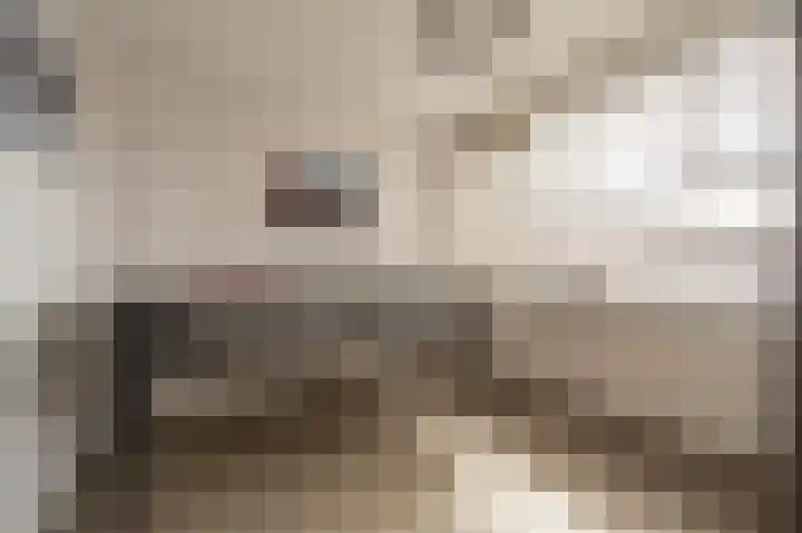 Julianastraat 18 Numansdorp thumbnail 15
