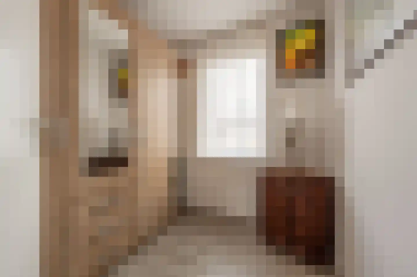 Julianastraat 18 Numansdorp thumbnail 17