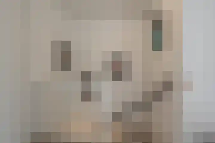Julianastraat 18 Numansdorp thumbnail 22