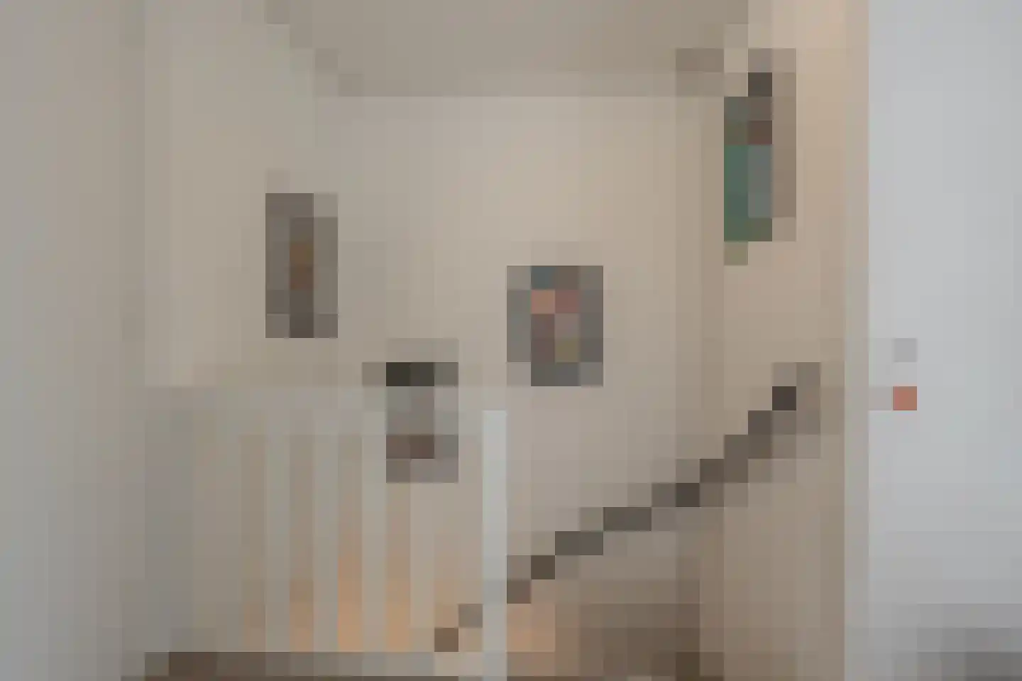 Julianastraat 18 Numansdorp thumbnail 22