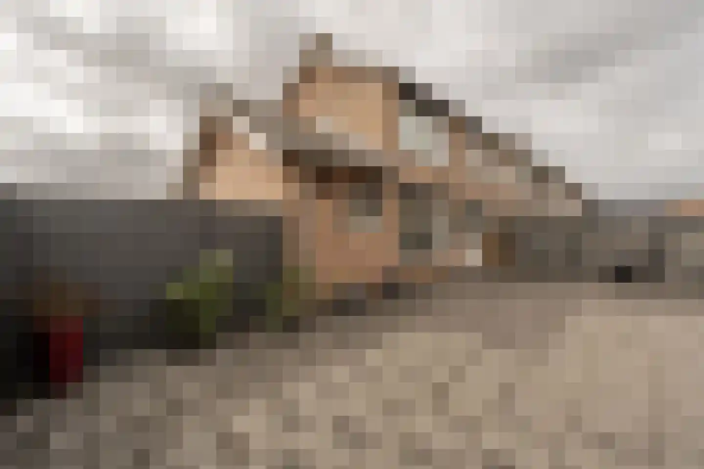 Julianastraat 18 Numansdorp thumbnail 23
