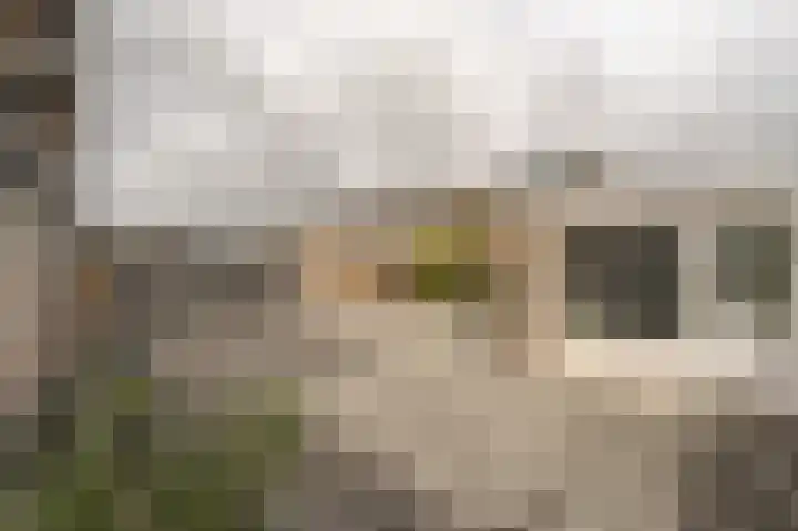 Julianastraat 18 Numansdorp thumbnail 25