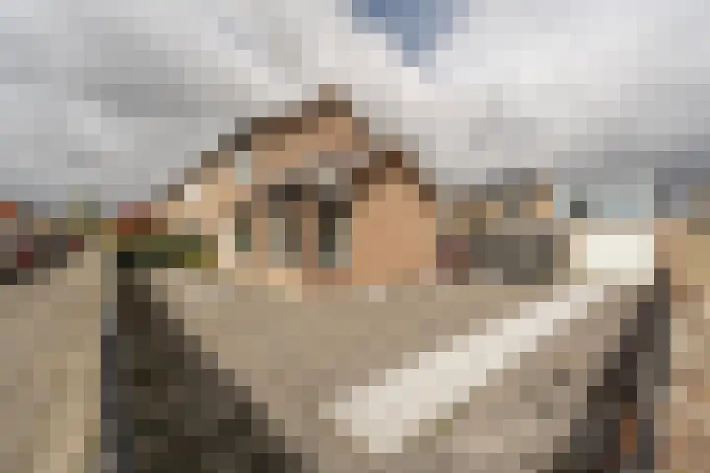 Julianastraat 18 Numansdorp thumbnail 28