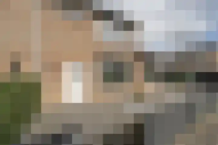 Julianastraat 18 Numansdorp thumbnail 29